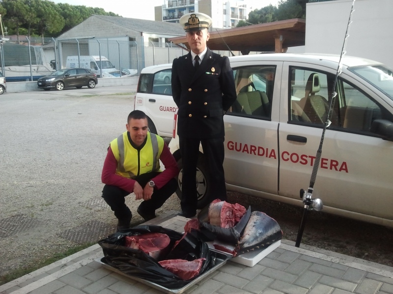 Sequestrati 70 chilogrammi di tonno rosso donati alla "Piccola Opera Caritas"